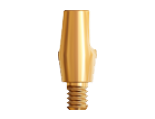 Solid Abutments and Restorative Kits