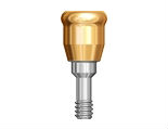Overdenture Abutments